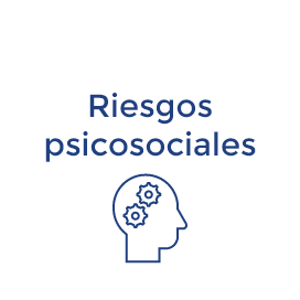 Grupo 61